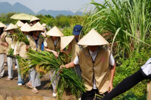 Trải Nghiệm Hè 2026 tại Chùa Tam Chúc