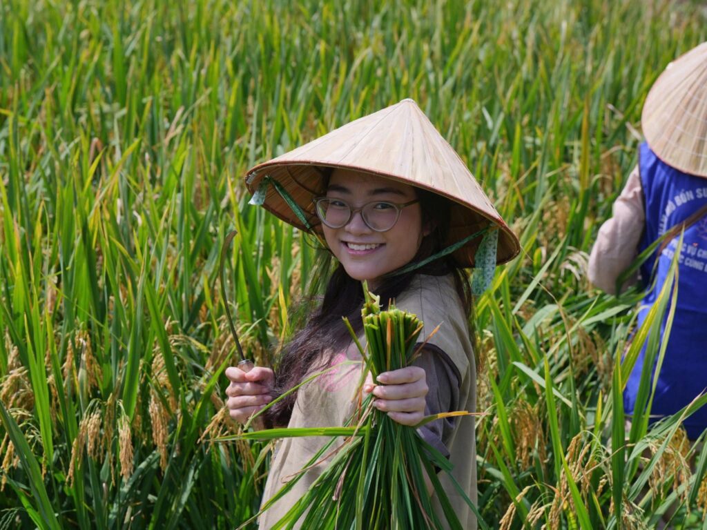 Khóa Trải Nghiệm Hè 2026 trải nghiệm cấy lúa tại Chùa Tam Chúc